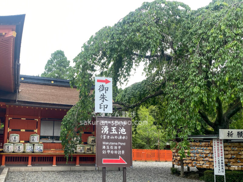 富士山本宮浅間大社】浅間神社の総本山！歴史やご利益・御朱印や