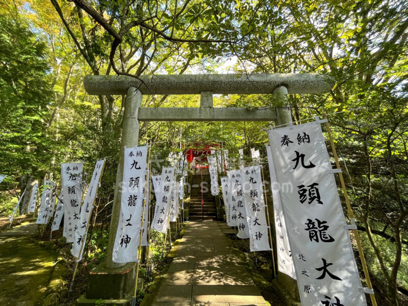 九頭龍神社本宮・箱根白龍神社】龍神様の強力パワースポット！ご利益や御朱印・お守り・おみくじ・行き方まで詳しくご紹介！