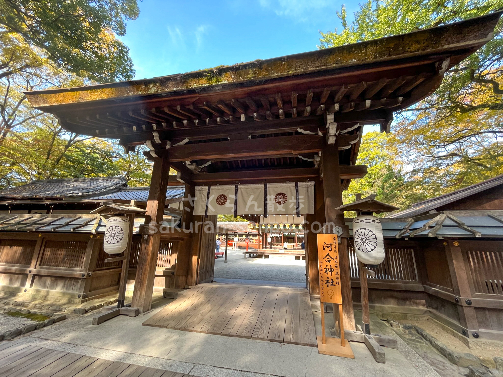 河合神社①】美の守護神が鎮座する神社！歴史やご利益・御朱印やお守り