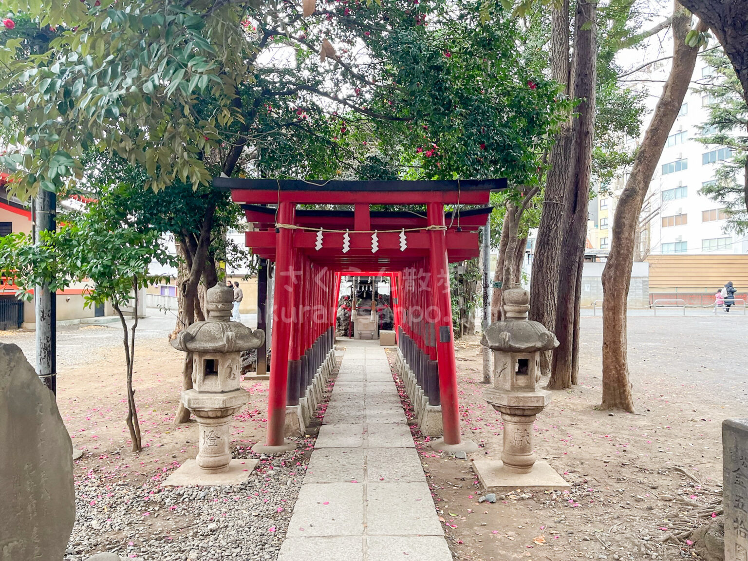 新宿のパワースポット!「花園神社」境内の見どころをご紹介!