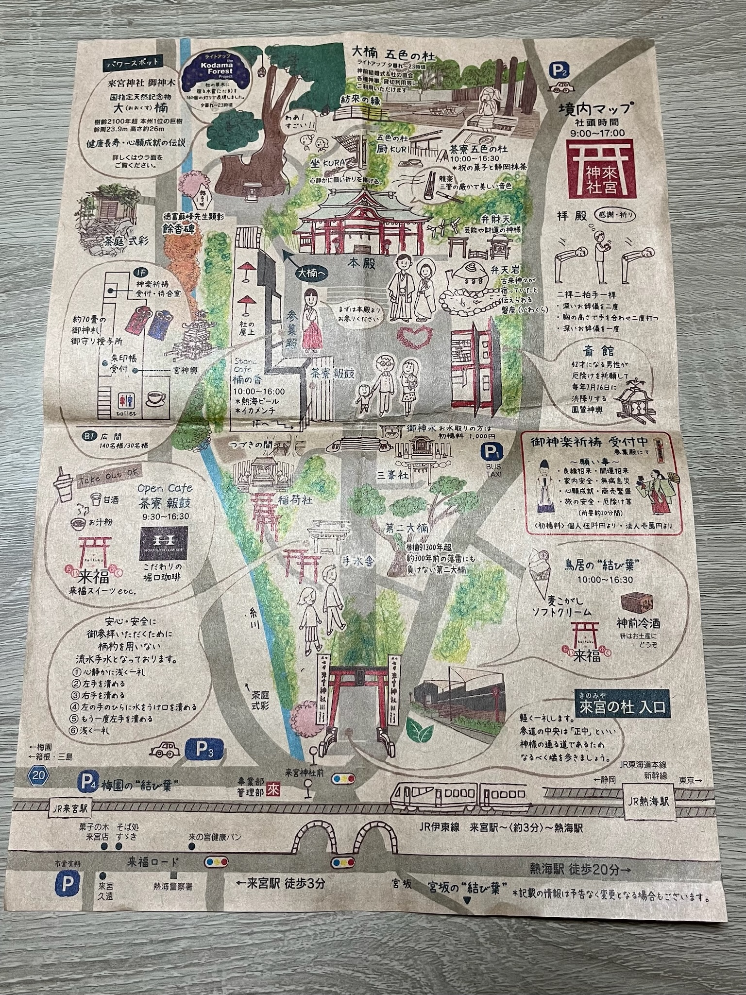 本州1位の巨樹で2026年開運!「来宮神社」境内の見どころやカフェメニューをご紹介!